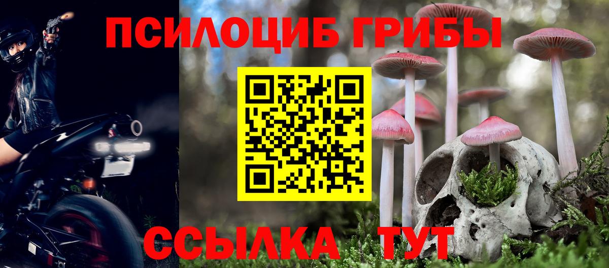 Галлюциногенные грибы Psilocybe  Вход с VPN  Нижнеудинск 